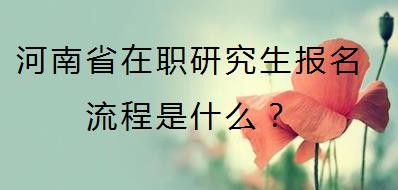 河南省在职研究生报名流程是什么?