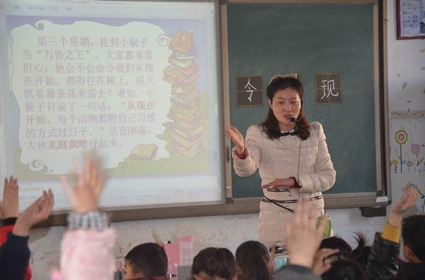 小学语文老师在职研究生适合教育专业吗?