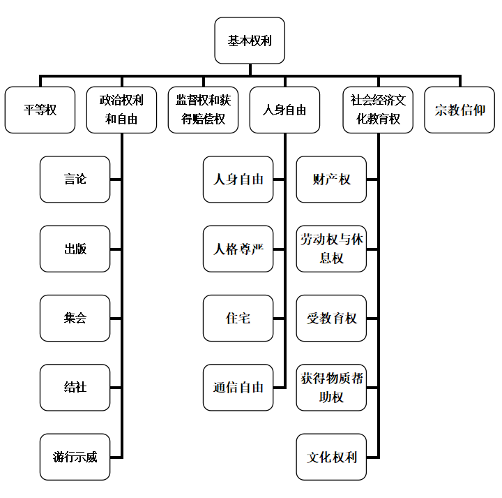 公民的基本权利知识树图片