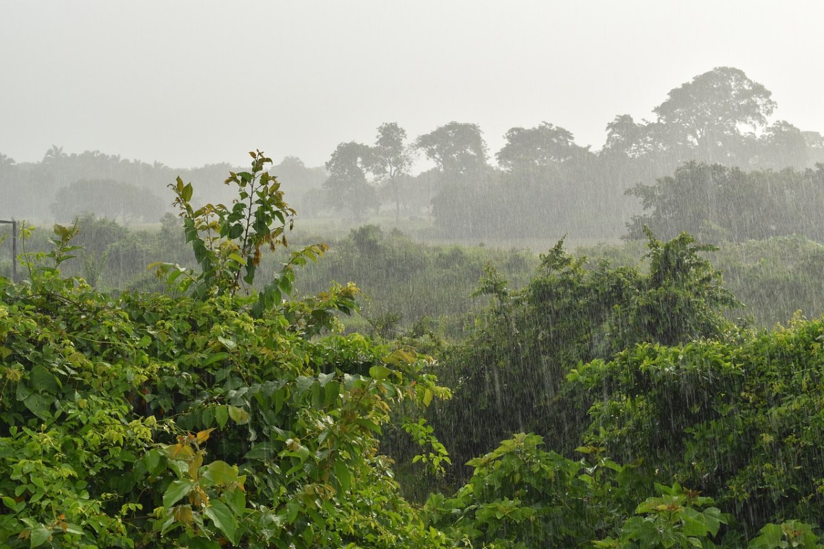 余晖原：坐看故乡雨